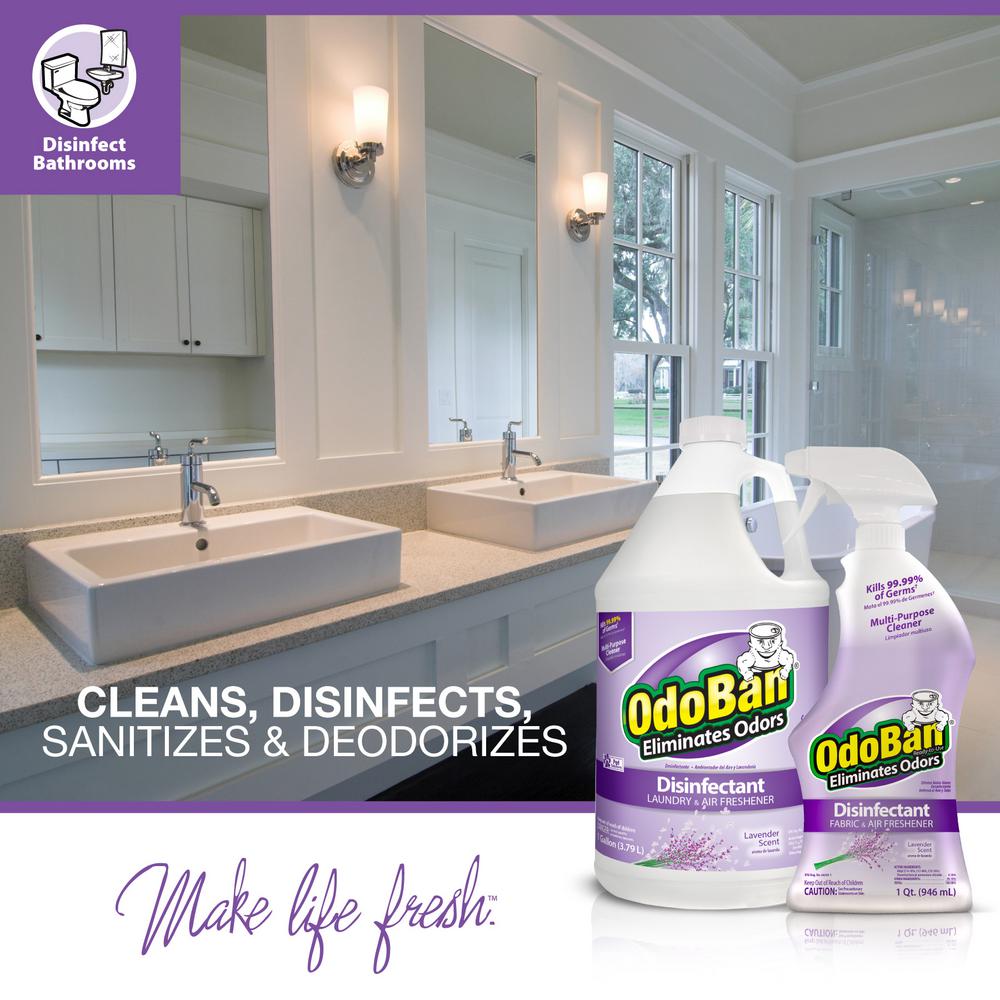 OdoBan Odor Eliminator Disinfectant, Lavender Scent, Case Of 2 Quart Sprays And 2 Gallon Concentrates