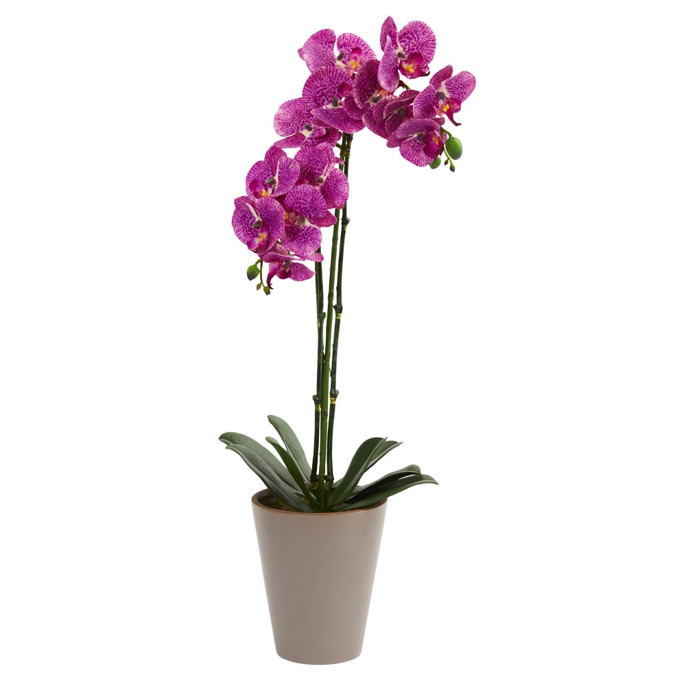 Nearly Natural Speckled Phalaenopsis Orchid 24inH Artificial Floral Arrangement With Vase, 24inH x 10-1/2inW x 6inD, Purple