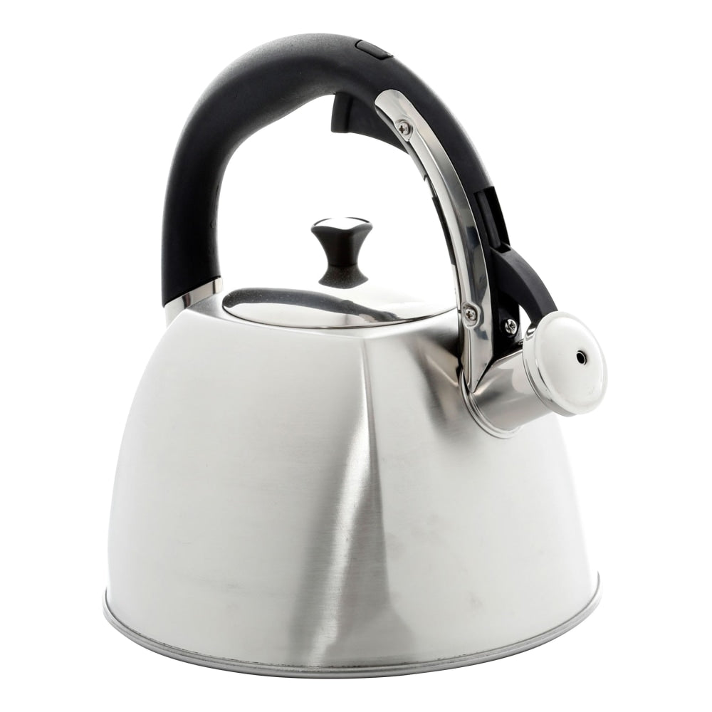 Mr. Coffee 2.5-Quart Tea Kettle, Belgrove, Silver