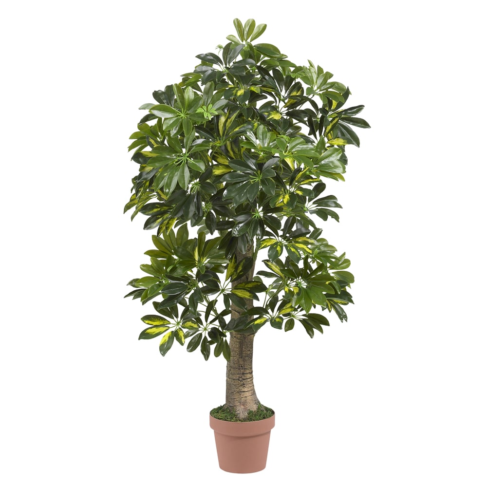 Nearly Natural 4ft Schefflera Tree, Green