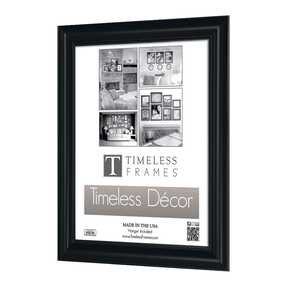 Timeless Frames Boca Wall Frame, 11in x 14in, Black