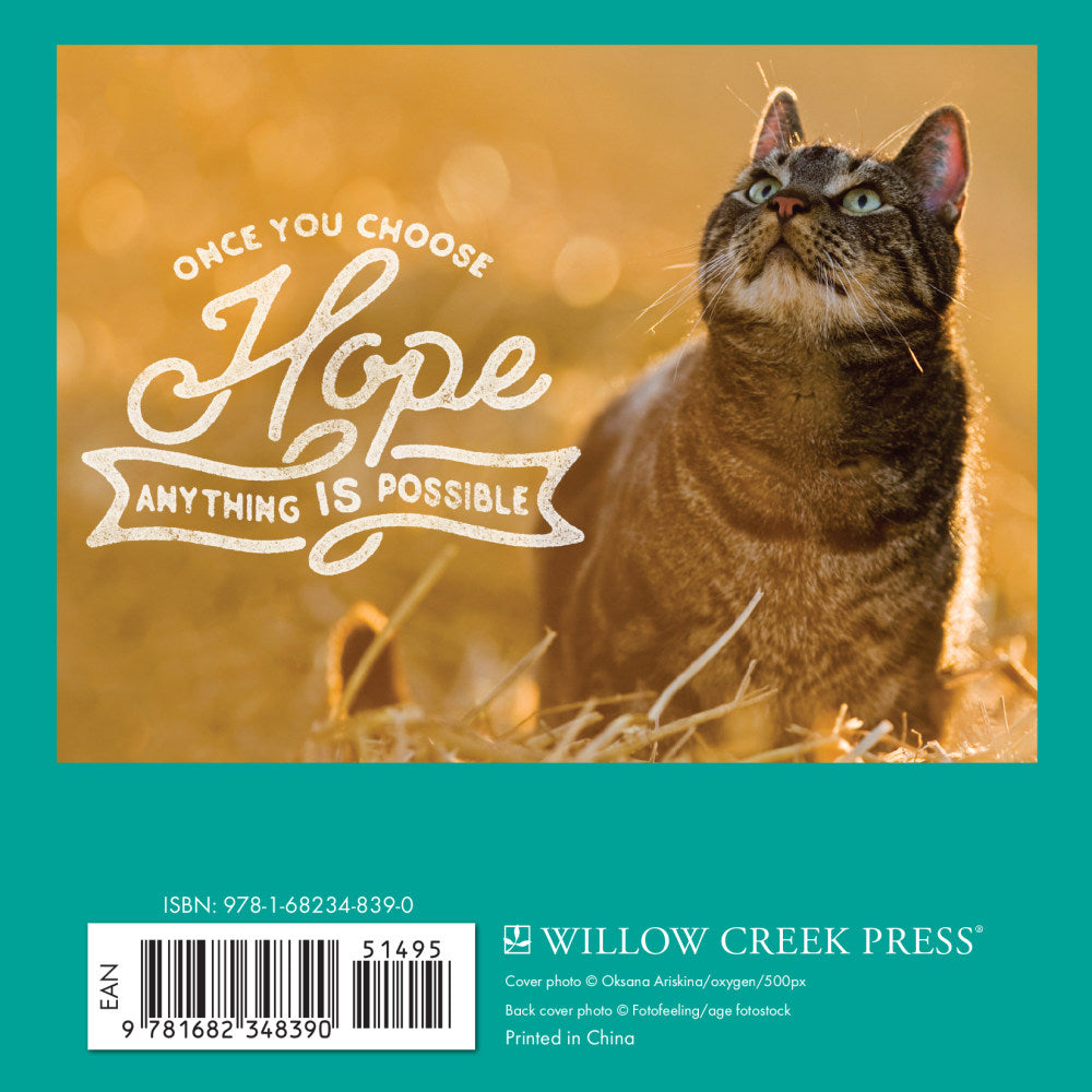 Willow Creek Press 5-1/2in x 5-1/2in Hardcover Gift Book, Catspirations