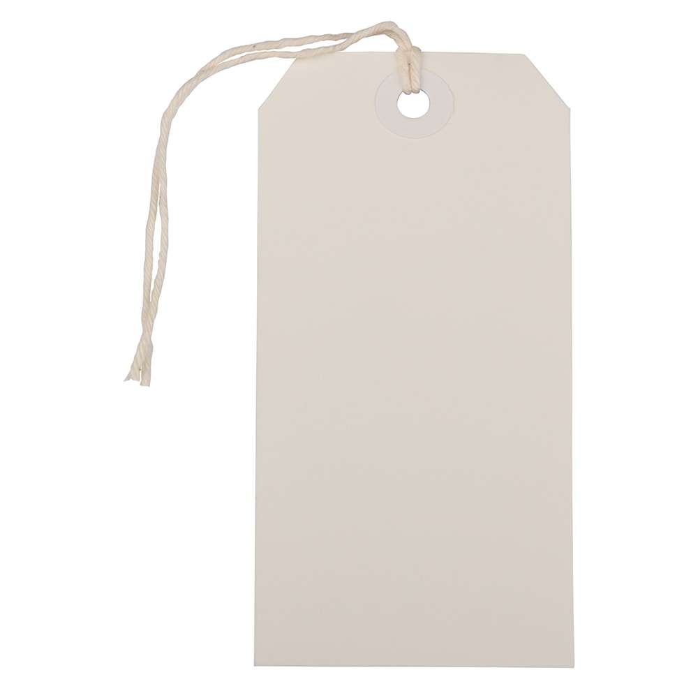 JAM Paper Medium Gift Tags, 4-3/4in x 2-3/8in, White, Pack Of 10 Tags