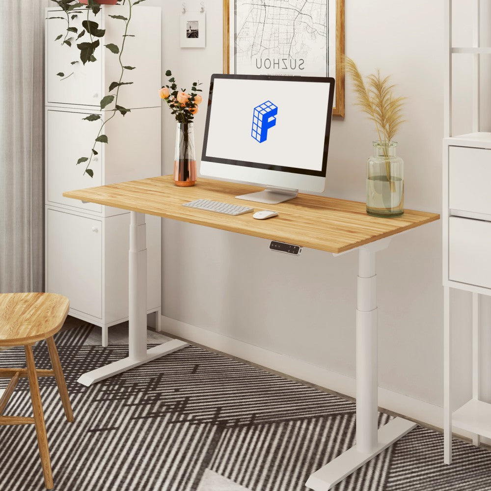 FlexiSpot E8 Electric Height-Adjustable Steel Standing Desk, 55inW, Bamboo/White