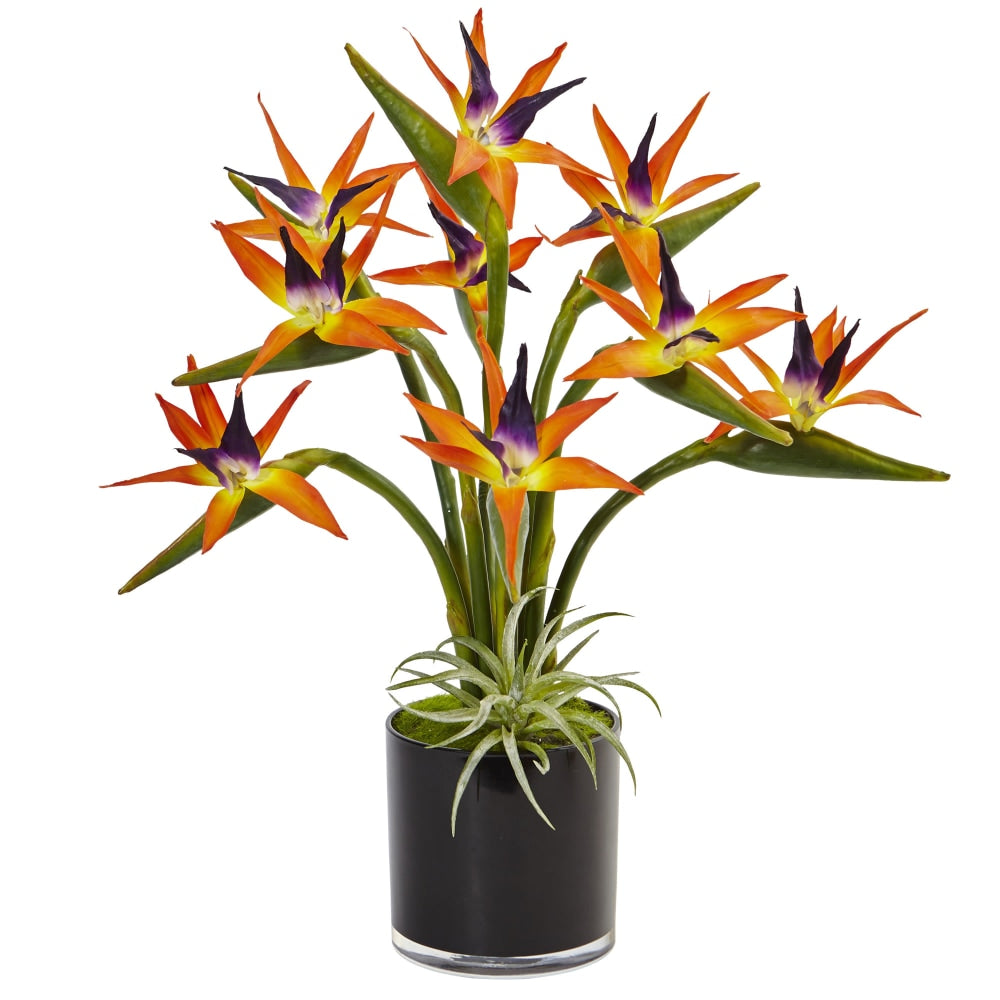 Nearly Natural Bird Of Paradise 24inH Plastic Silk Floral Arrangement With Black Glossy Cylinder Planter, 24inH x 20-1/2inW x 20-1/2inD, Orange