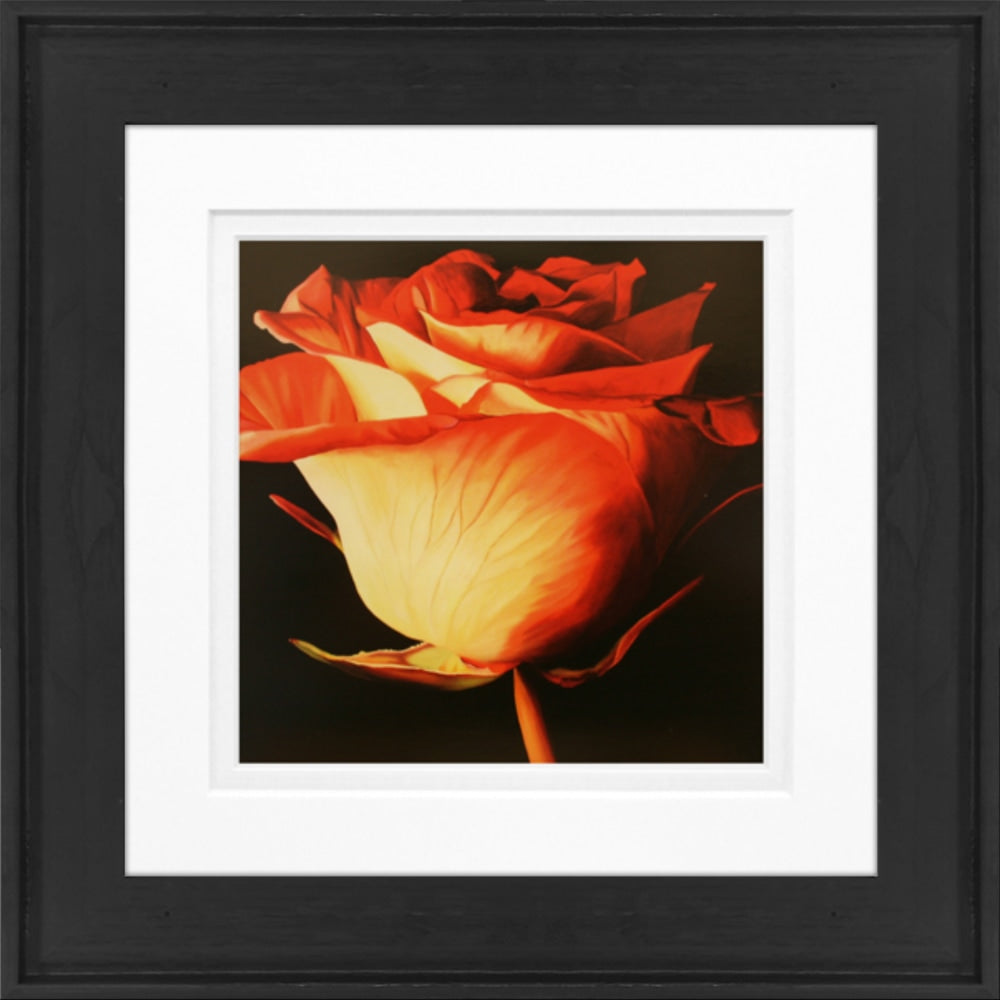 Timeless Frames Alexis Framed Floral Artwork, 8in x 8in, Black Frame, Rose I