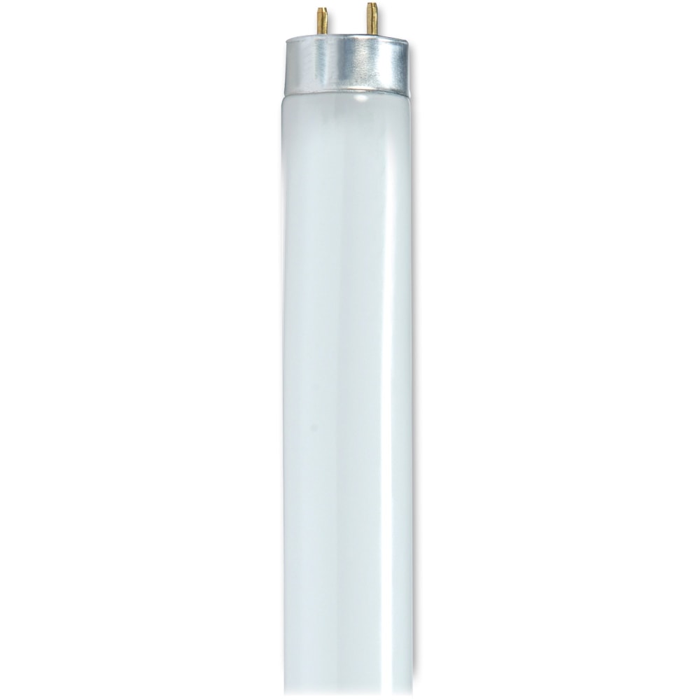 Satco 48in T8 Fluorescent Bulbs, 32 Watt, Carton Of 6