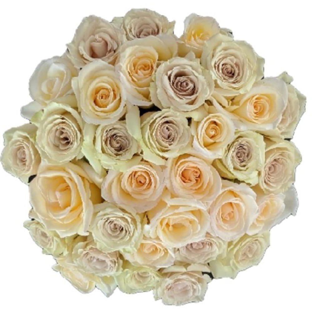 Rose Farmers Cream Dazzler Long Stem Roses, Cream, Box Of 12 Roses