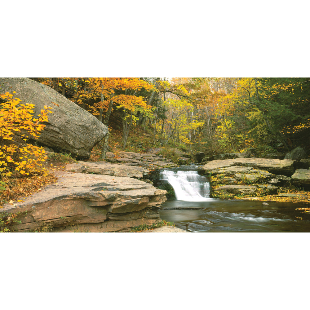 Biggies Wall Mural, 27in x 54in, Stream