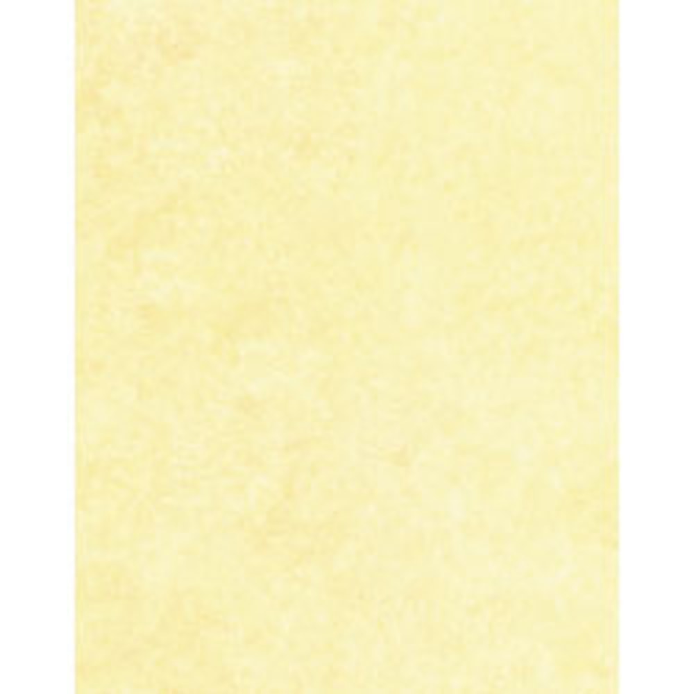 Gartner Studios Design Paper, 8 1/2in x 11in, 60 Lb, Ivory Parchment, Pack Of 100 Sheets