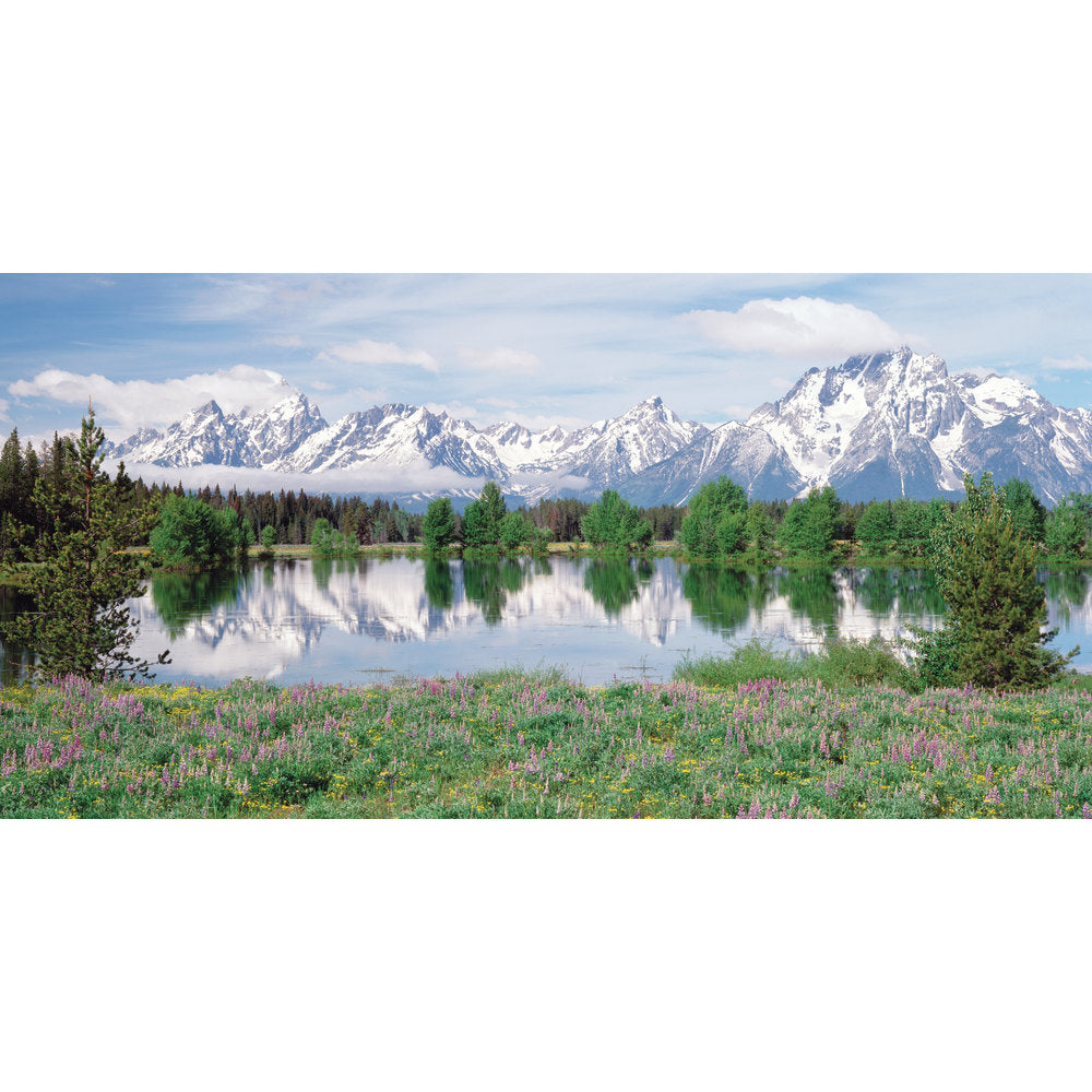 Biggies Wall Mural, 40in x 80in, Mountain Flower