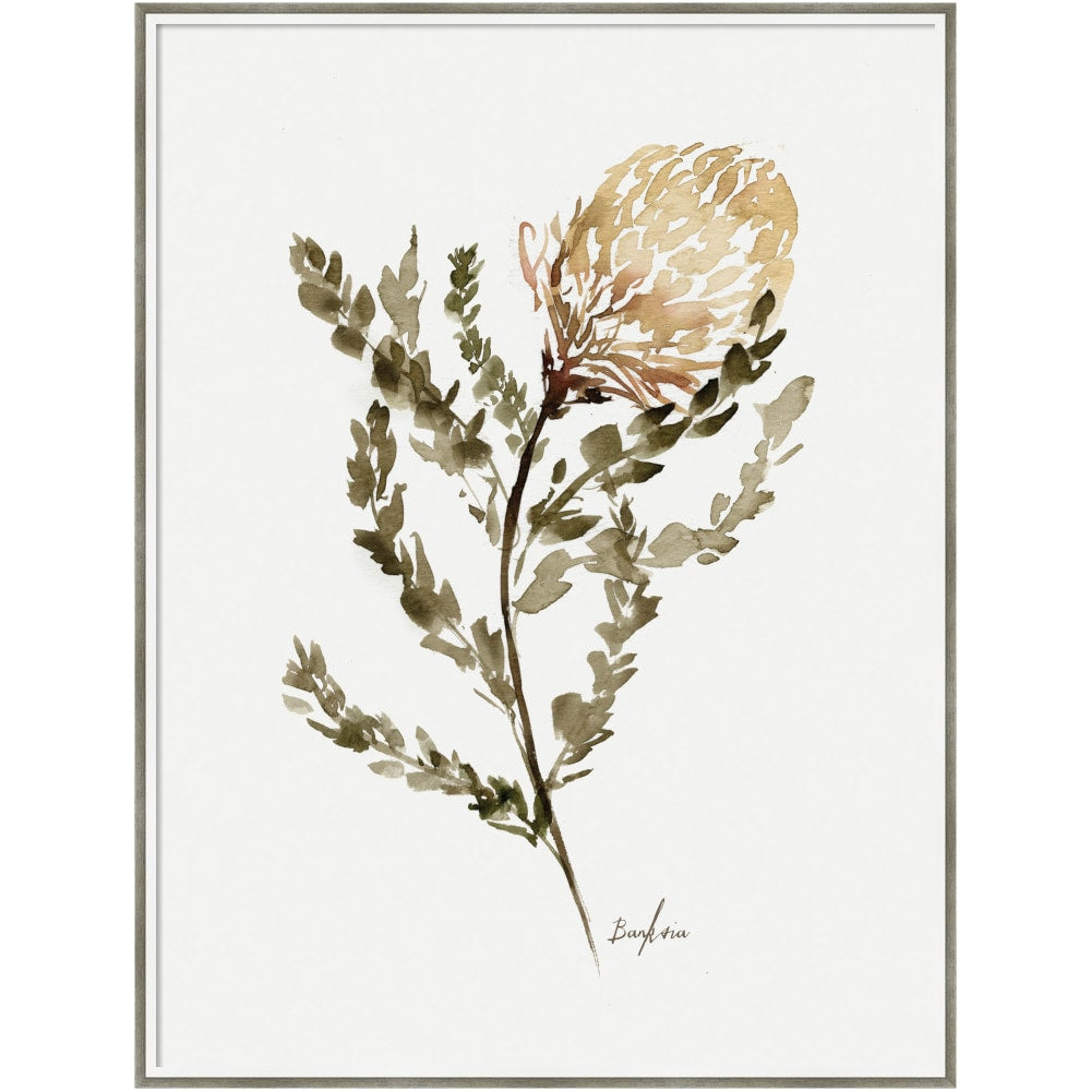 Amanti Art Wild Banksia by Sara Berrenson Wood Framed Wall Art Print, 31inW x 41inH, White