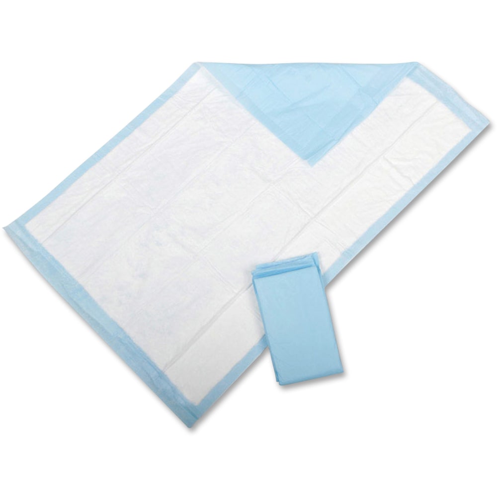 Protection Plus Disposable Underpads, 23in x 36in, Light Blue, Pack Of 25