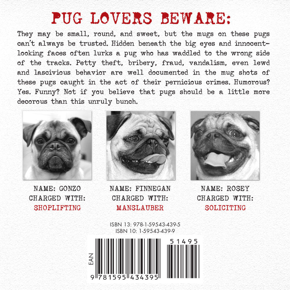 Willow Creek Press 5-1/2in x 5-1/2in Hardcover Gift Book, Pug Rules