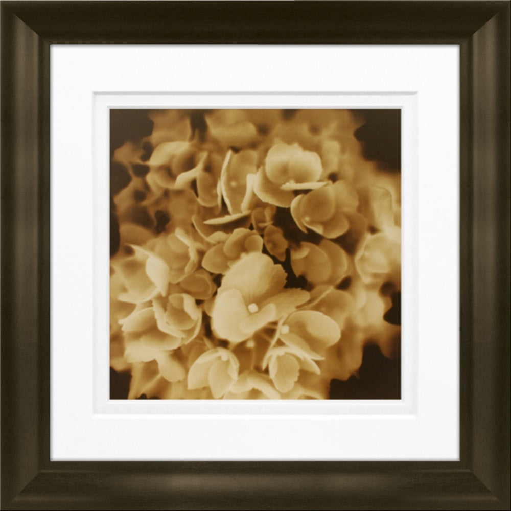 Timeless Frames Marren Espresso-Framed Floral Artwork, 8in x 8in, Snowball