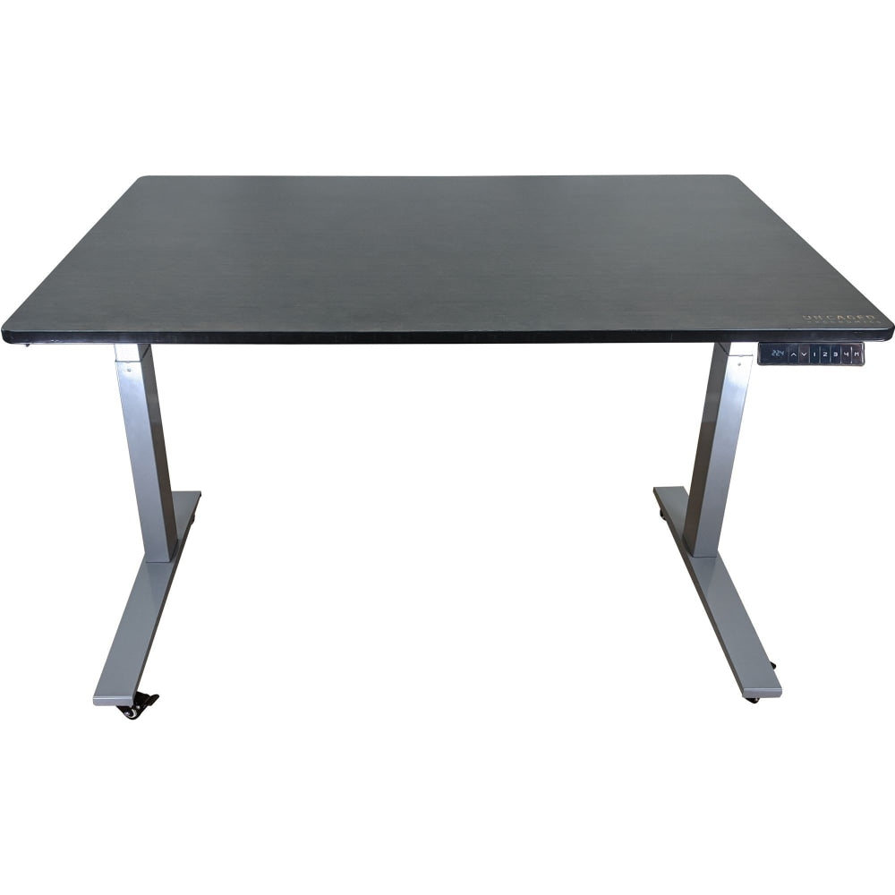 Rise Up Electric 48inW Standing Computer Desk, Gray