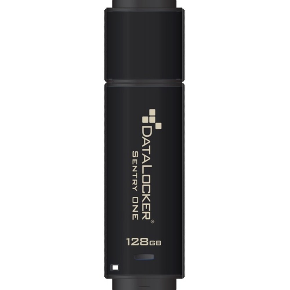 DataLocker Sentry ONE Encrypted Flash Drive - 128 GB - USB 3.1 - 256-bit AES - 5 Year Warranty - TAA Compliant