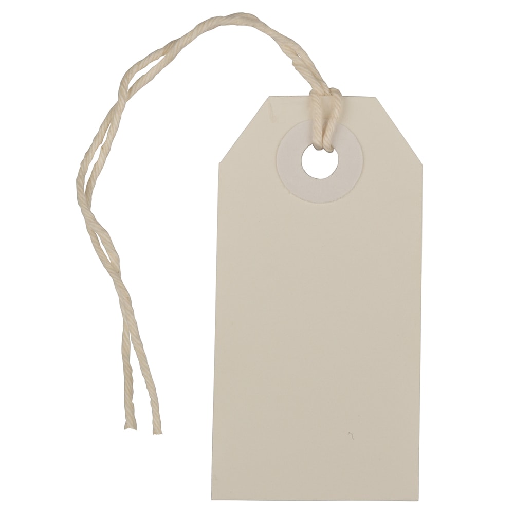 JAM Paper Tiny Gift Tags, 3-3/8in x 2-3/4in, White, Pack Of 10 Tags