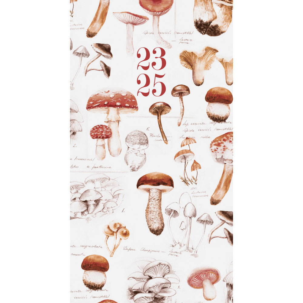 2023-2025 Willow Creek Press Checkbook 2-Year Monthly Academic Pocket Planner, 6-1/2in x 3-1/2in, Mushroom Study, July 2023 To June 2025