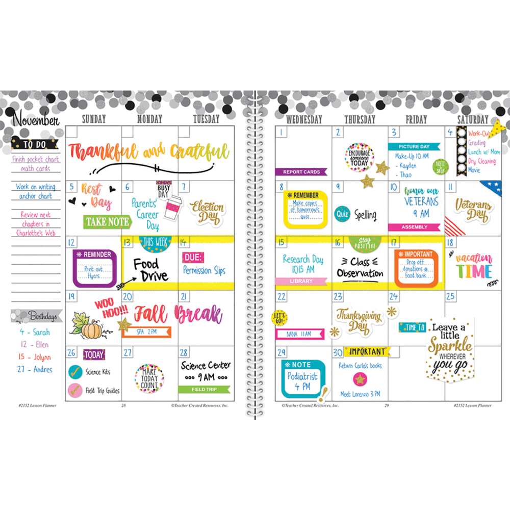 Teacher Created Resources 40-Week Lesson Planner, 8-1/2in x 11in, Confetti