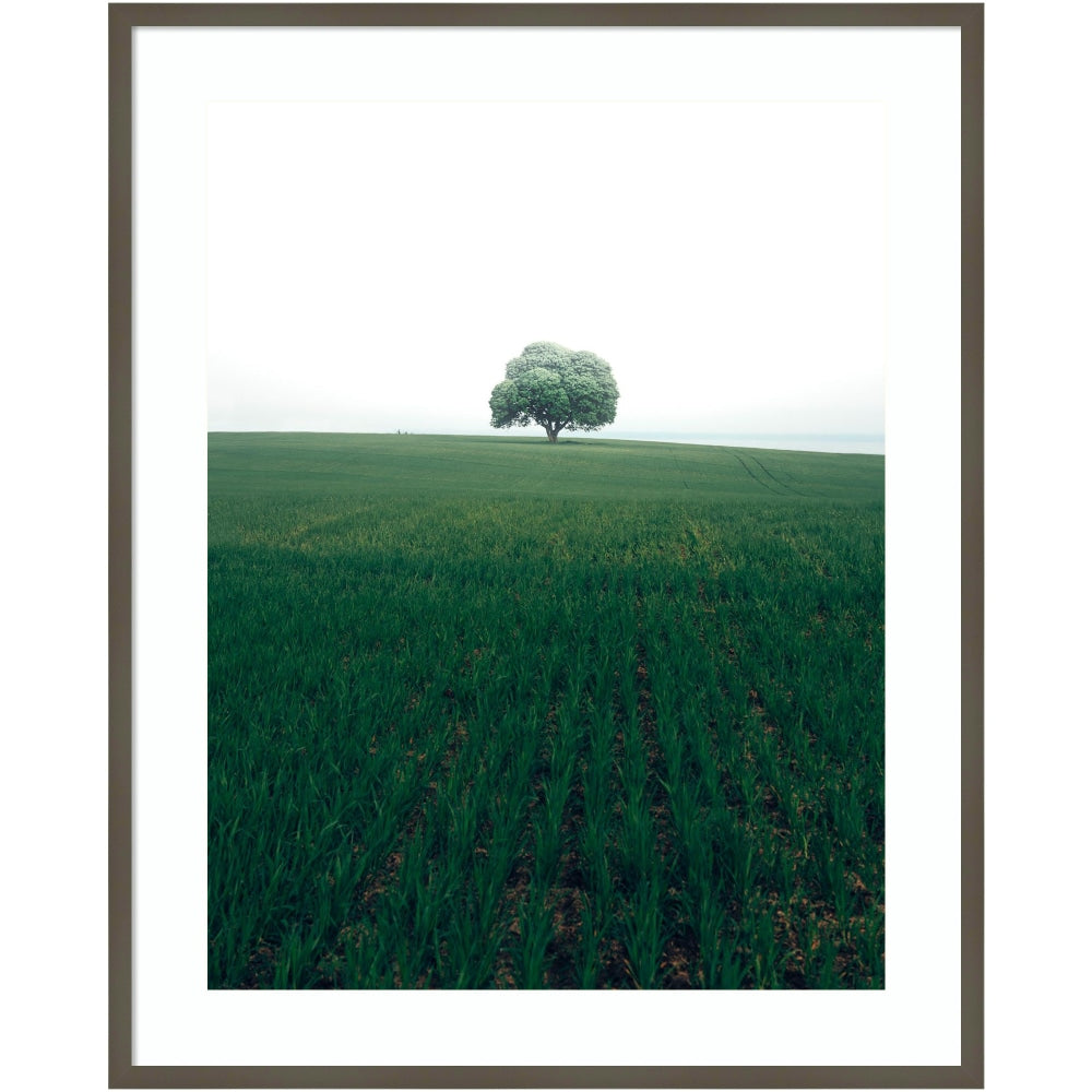 Amanti Art The Lonely Oak Tree by Christian Lindsten Wood Framed Wall Art Print, 33inW x 41inH, Gray