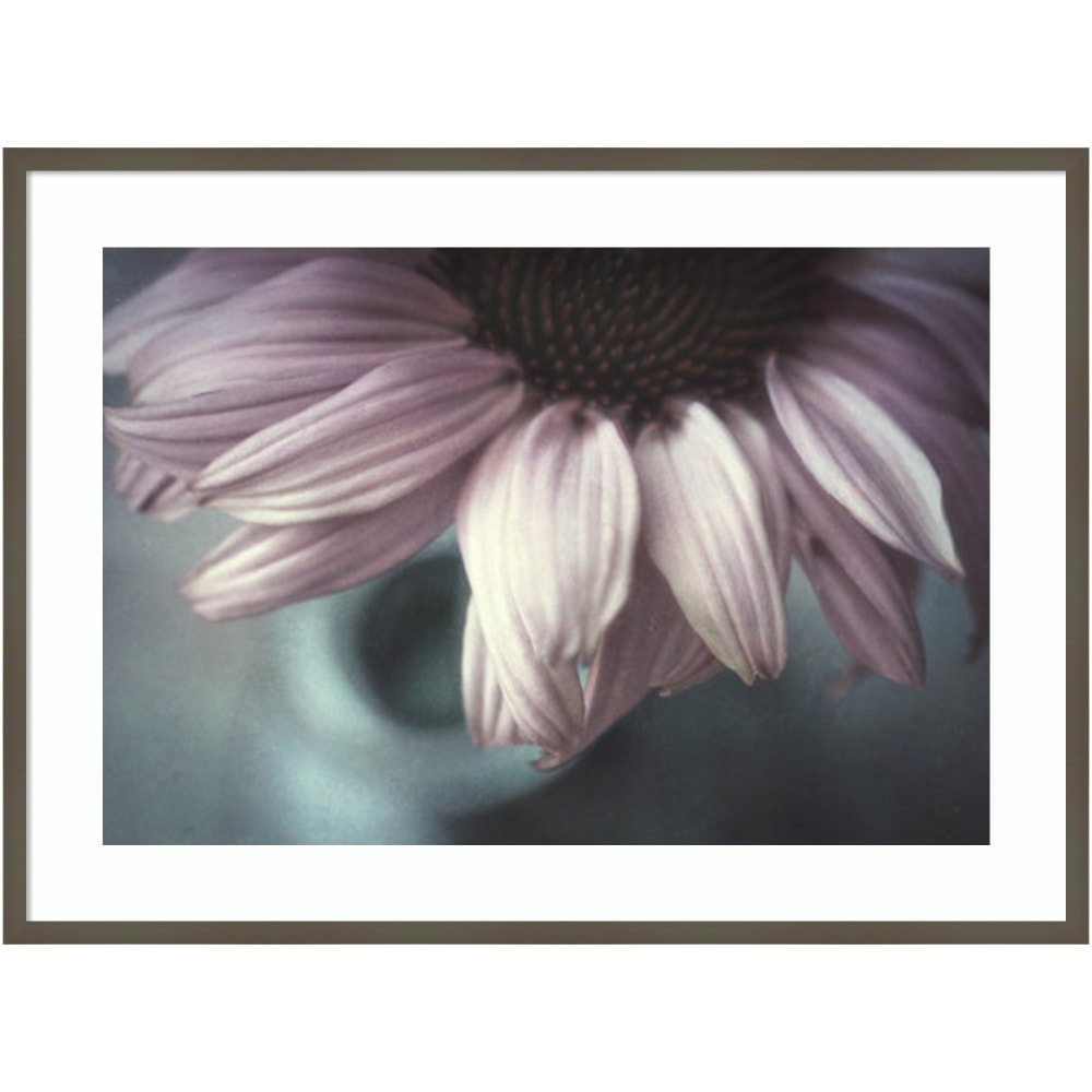 Amanti Art Meet Me Halfway (Flower) by Corinna van der Wood Framed Wall Art Print, 41inW x 30inH, Gray