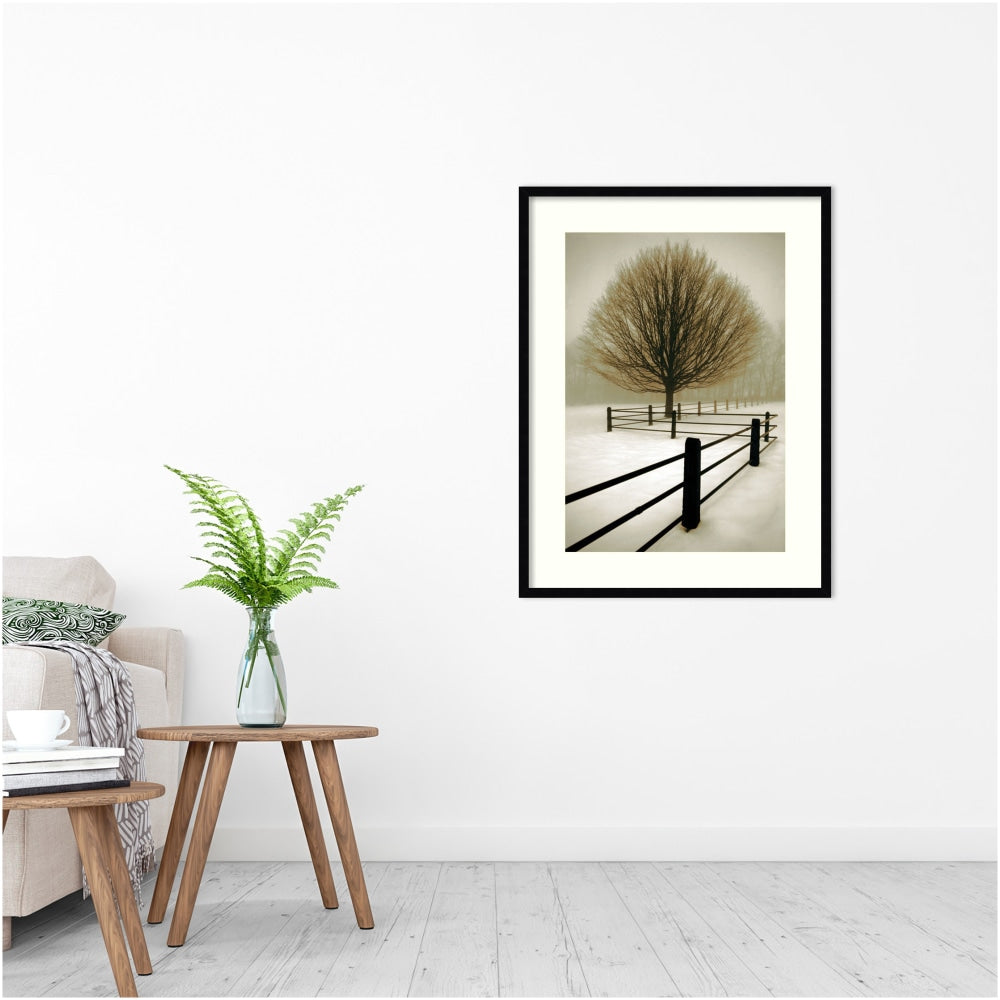 Amanti Art Solitude by David Lorenz Winston Wood Framed Wall Art Print, 25inW x 33inH, Black