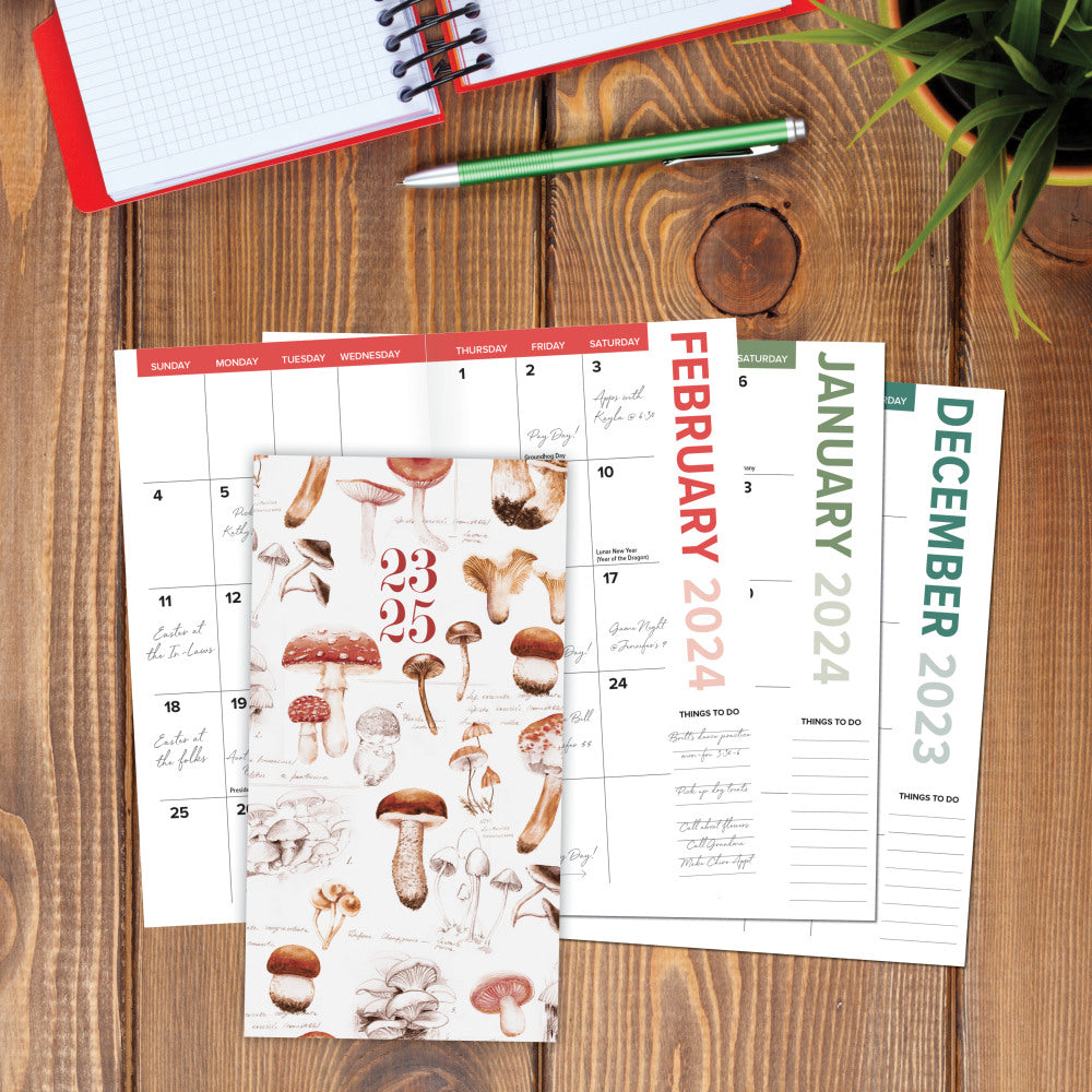 2023-2025 Willow Creek Press Checkbook 2-Year Monthly Academic Pocket Planner, 6-1/2in x 3-1/2in, Mushroom Study, July 2023 To June 2025