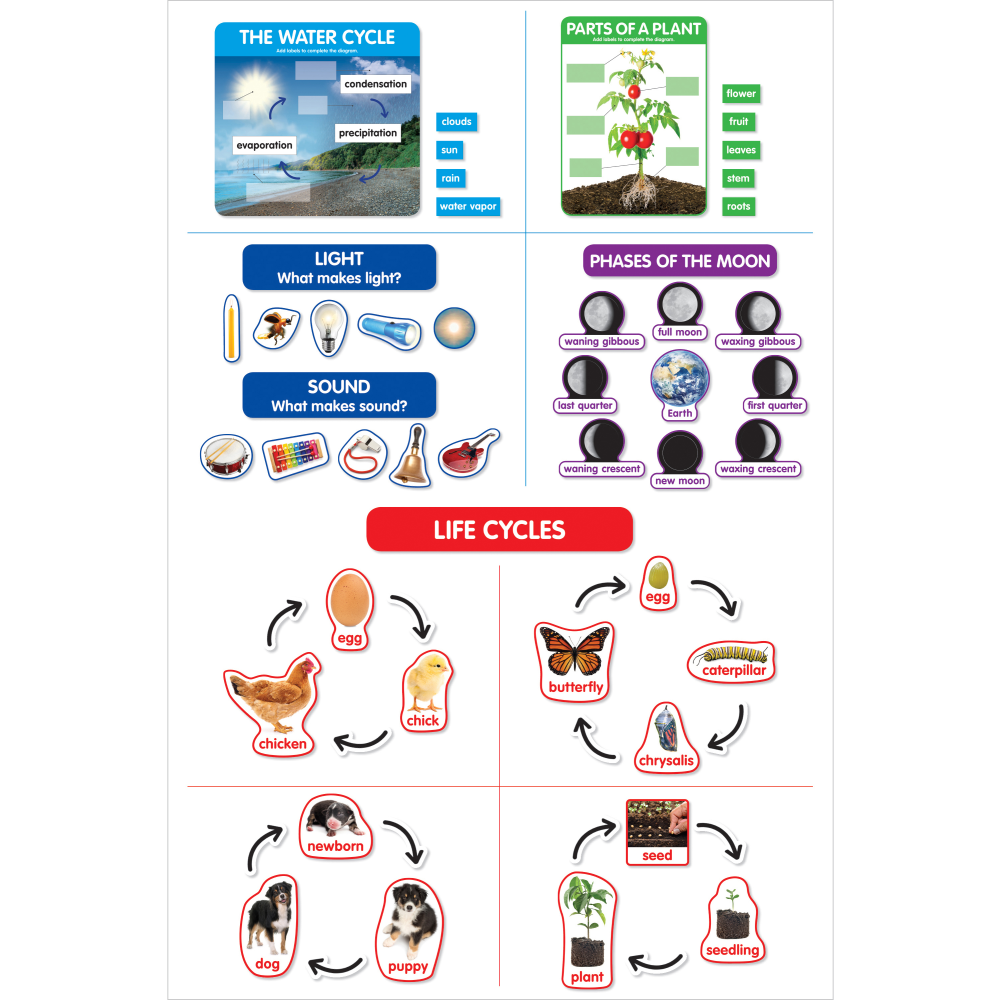 Scholastic Teachers Friend Early Science Concepts Bulletin Board Set, Preschool - Grade 2