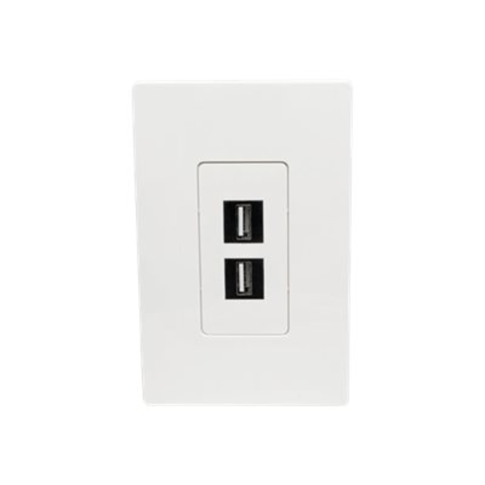 Tripp Lite Single-Gang 2-Port Wall Plate Keystone Cat5/Cat6 USB HDMI Dport RCA - Faceplate - white - 1-gang - 2 ports - TAA Compliant