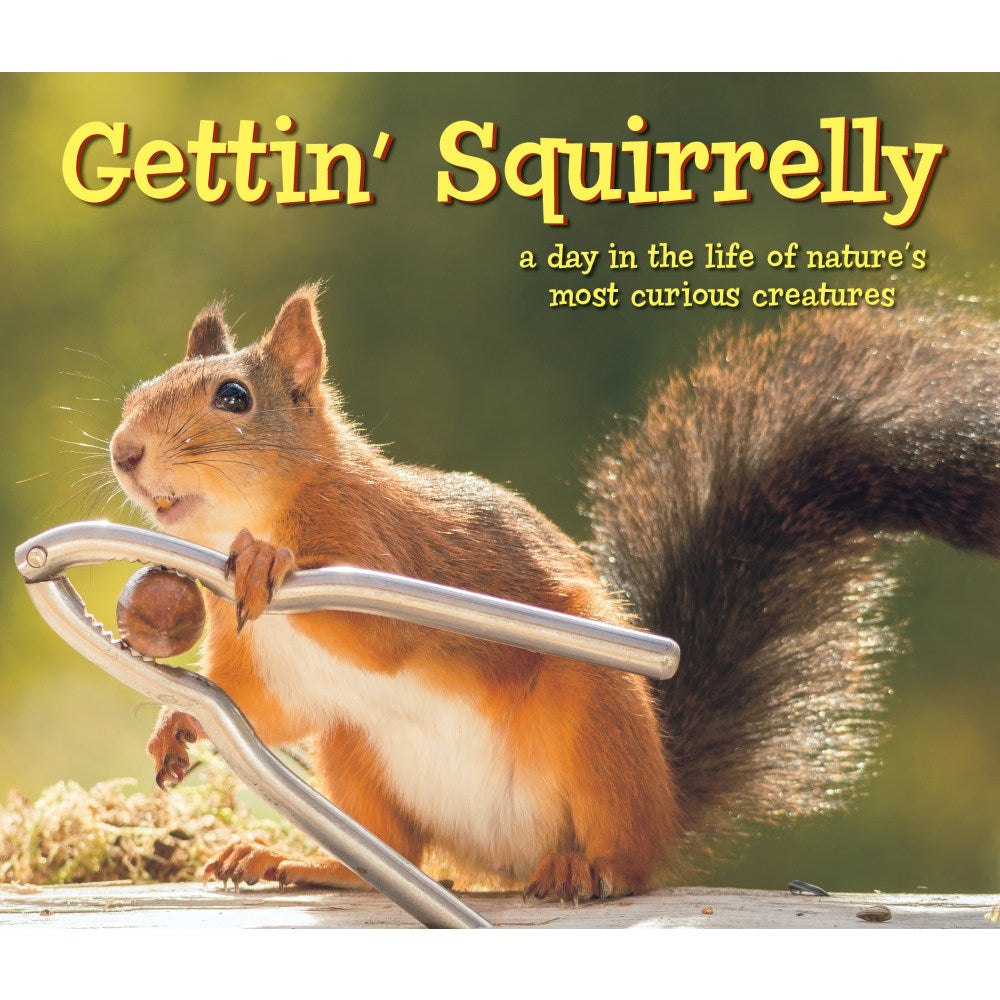 Willow Creek Press 6in x 7in Hardcover Gift Book, Gettin Squirrelly By Geert Weggen