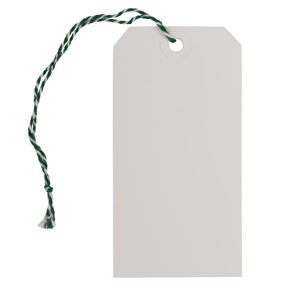 JAM Paper Medium Gift Tags, 4-3/4in x 2-3/8in, White/Green, Pack Of 10 Tags