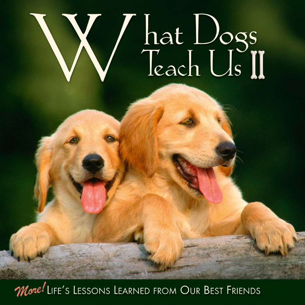 Willow Creek Press 5-1/2in x 5-1/2in Hardcover Gift Book, What Dogs Teach Us 2 By Glenn Dromgoole