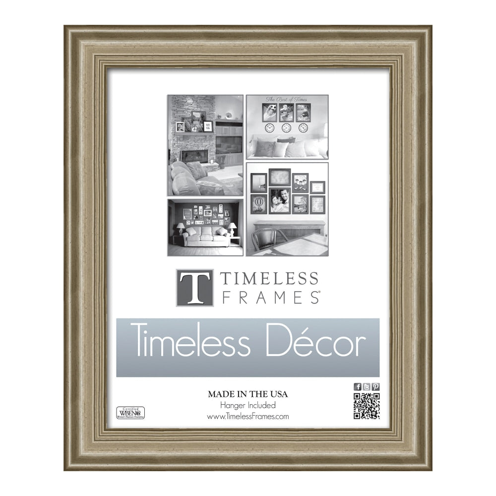 Timeless Frames Patricia Frame, 11in x 14in, Silver