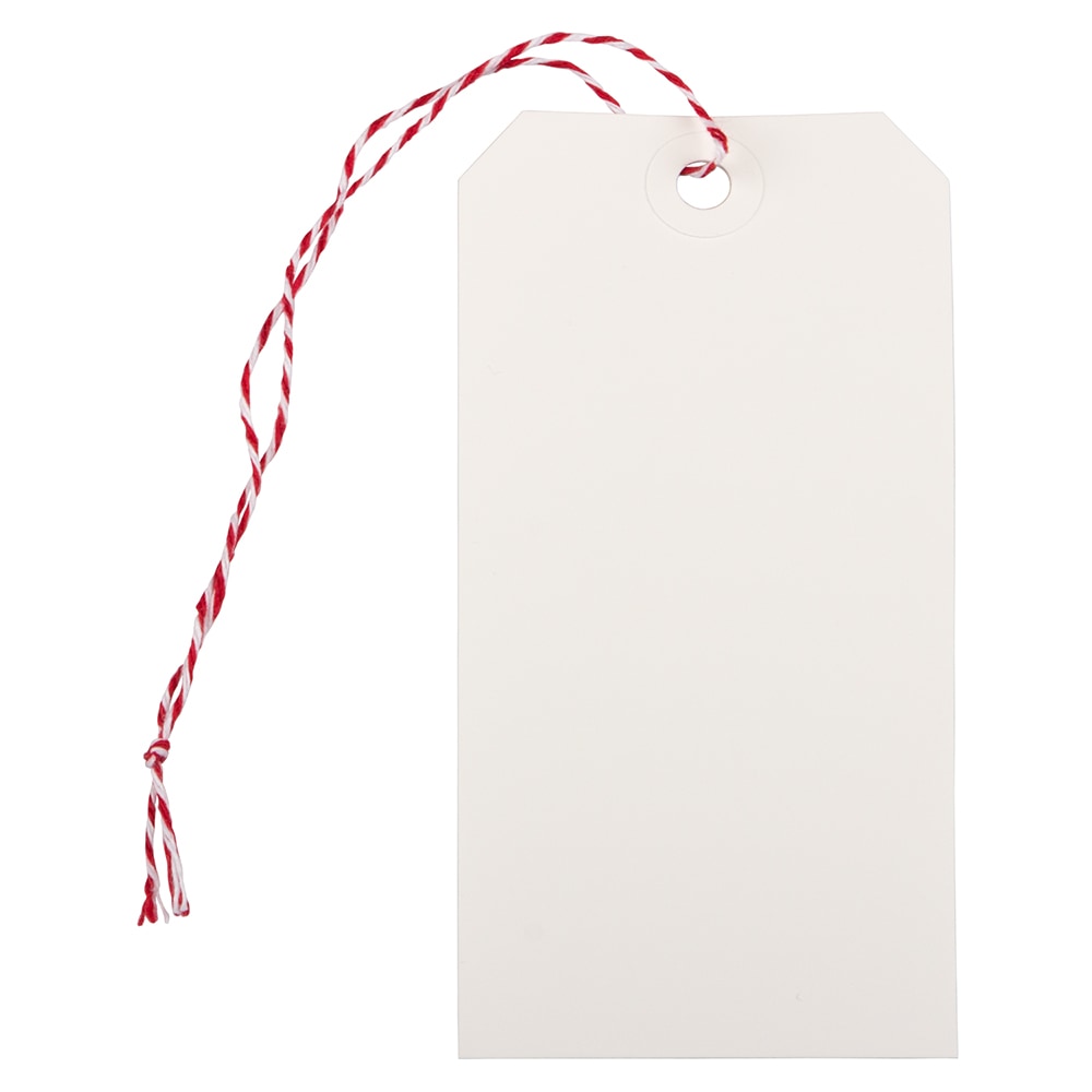 JAM Paper Medium Gift Tags, 4-3/4in x 2-3/8in, White/Red, Pack Of 10 Tags