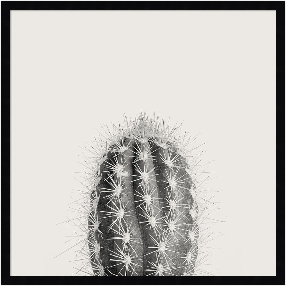 Amanti Art Haze Cactus Succulent Tall by The Creative Bunch Wood Framed Wall Art Print, 25inH x 25inW, Black