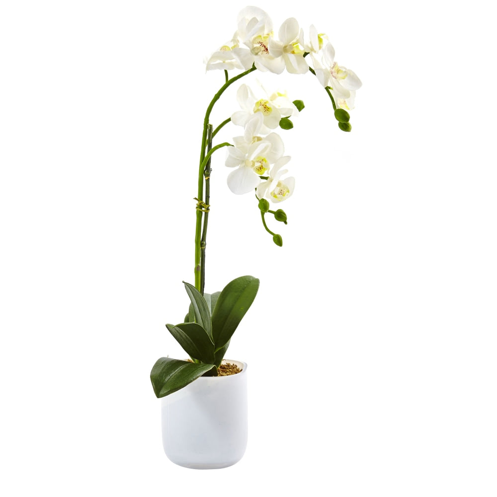 Nearly Natural Phalaenopsis Orchid 18-1/2inH Plastic Floral Arrangement With Frosted Glass Vase, 18-1/2inH x 8inW x 5inD, White