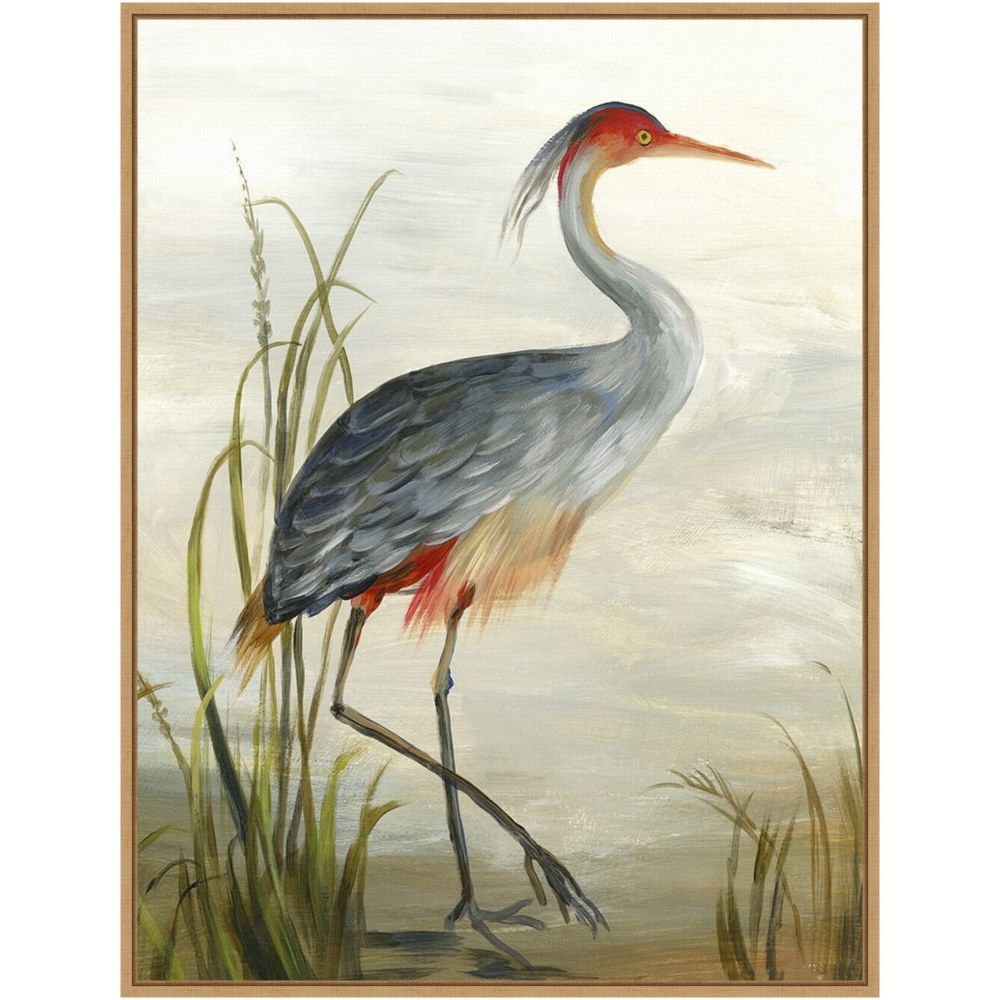 Amanti Art Grey Heron by Aimee Wilson Framed Canvas Wall Art Print, 23in x 30in, Maple