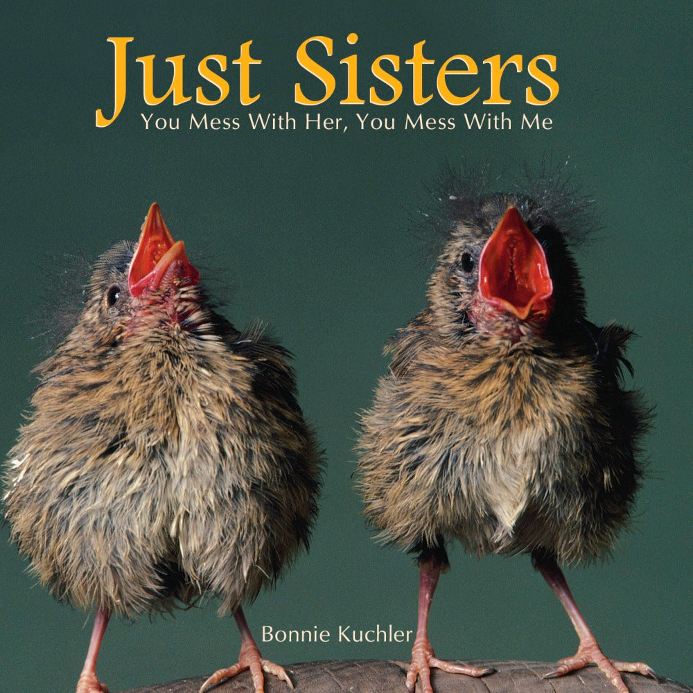 Willow Creek Press 5-1/2in x 5-1/2in Hardcover Gift Book, Just Sisters By Bonnie Kuchler