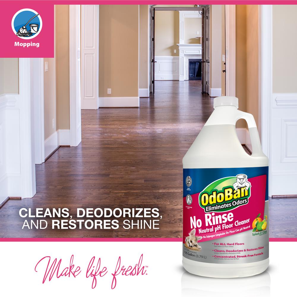 OdoBan No-Rinse Neutral pH Floor Cleaner Concentrate, 1 Gallon