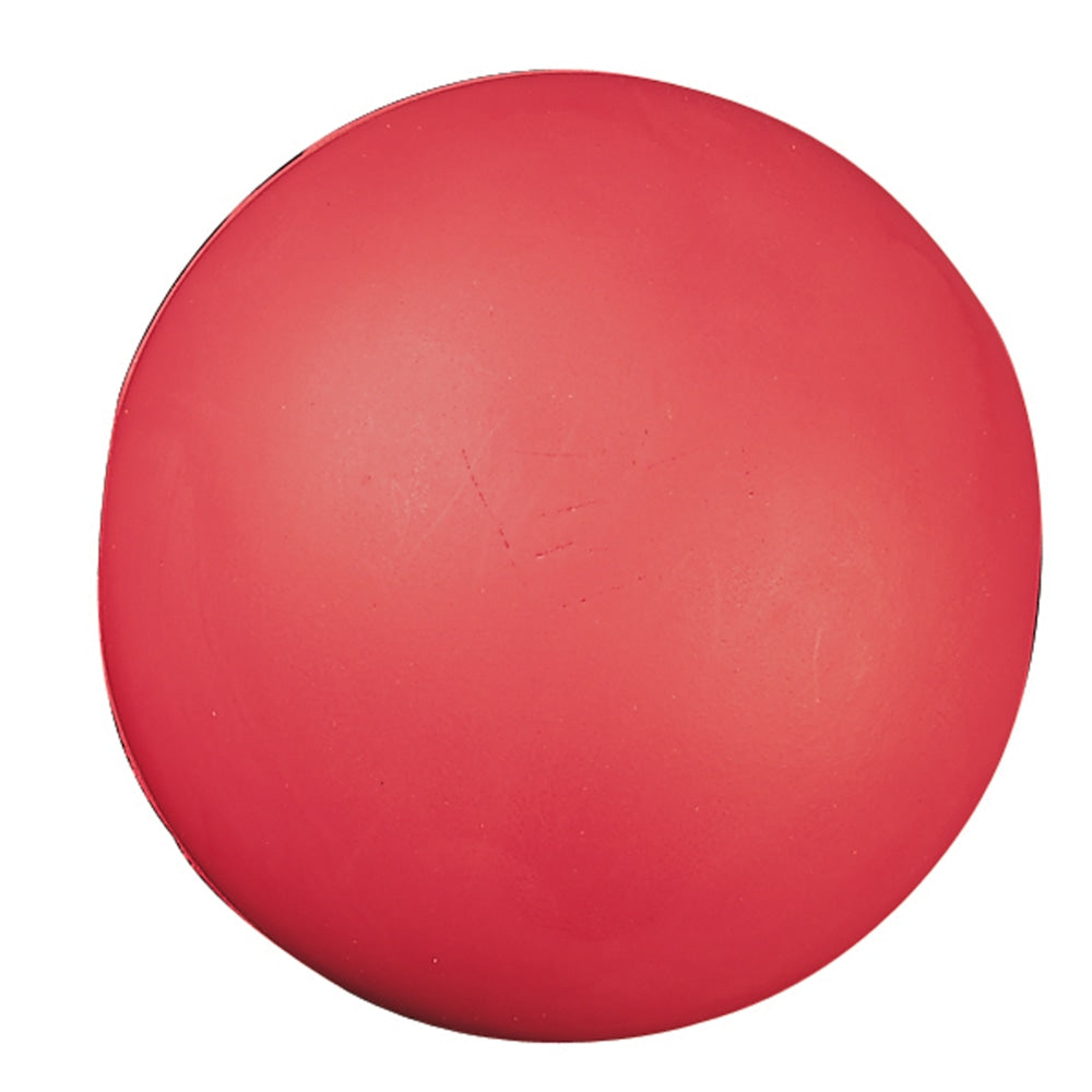 Champion Sports High Density Coated 8-1/2in Foam Ball