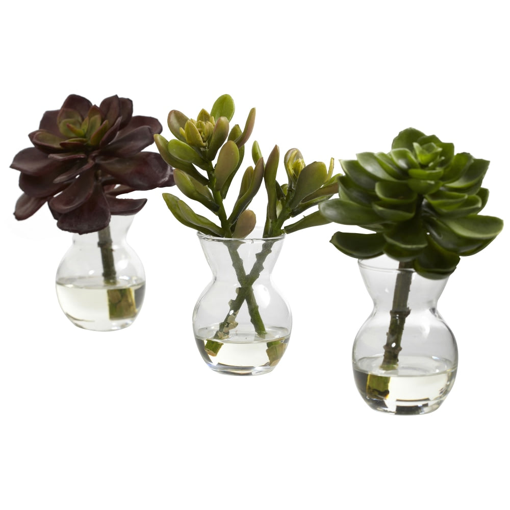 Nearly Natural 5-1/2inH Succulent Arrangements With Glass Vases, Green, Set Of 3 Arrangements