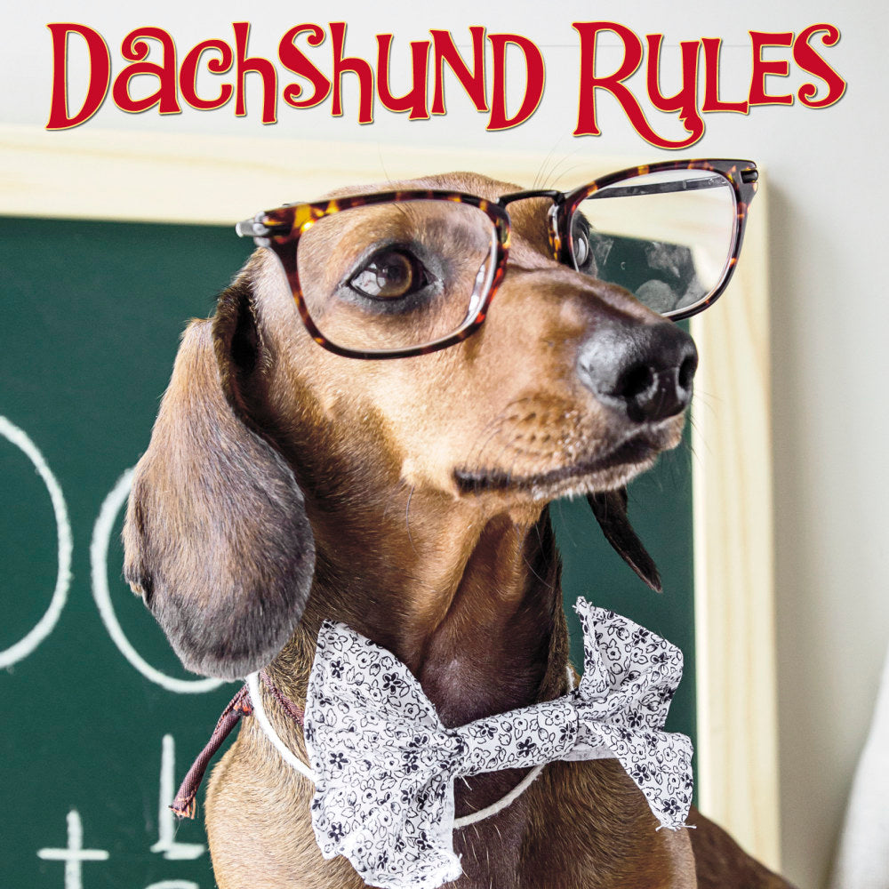 Willow Creek Press 5-1/2in x 5-1/2in Hardcover Gift Book, Dachshund Rules