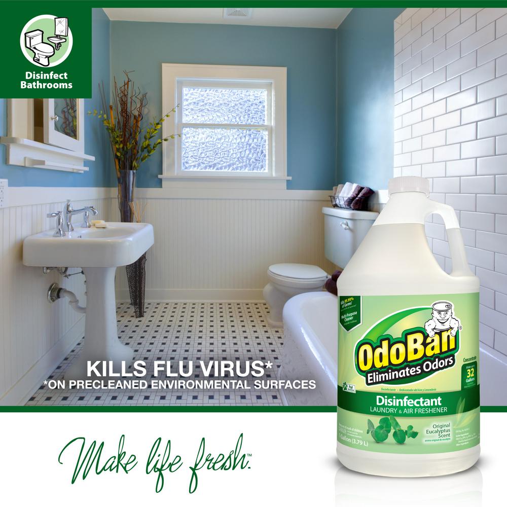 OdoBan Odor Eliminator Disinfectant Concentrate, Eucalyptus Scent, 128 Oz Bottle