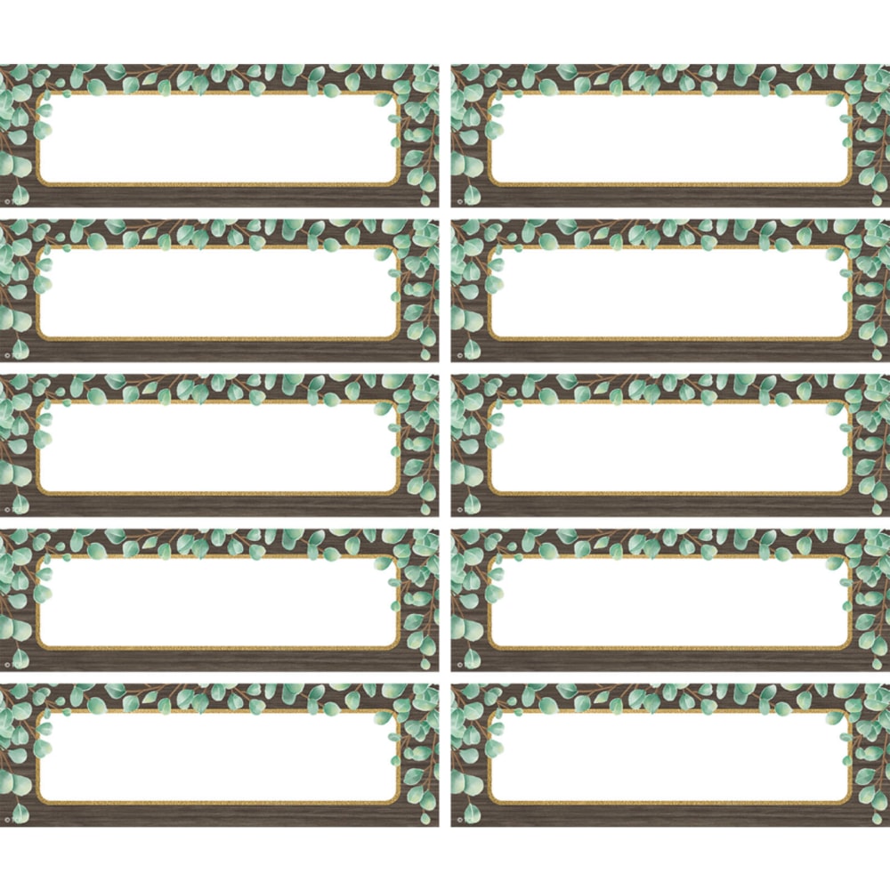 Teacher Created Resources Magnetic Accents, Eucalyptus Labels, 20 Per Pack, Set Of 3 Packs