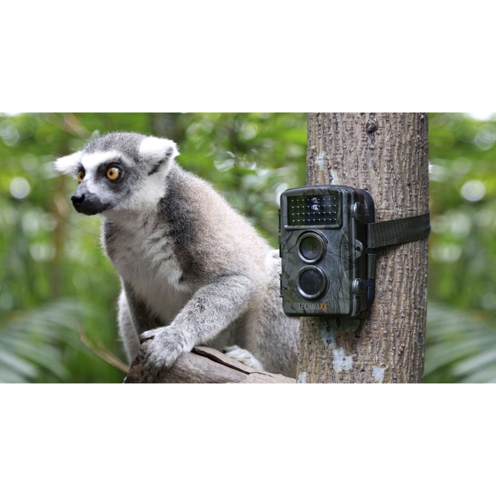 Technaxx Nature Wild Cam TX-69 - 600 ms - 12 Megapixel - microSD - Water Proof