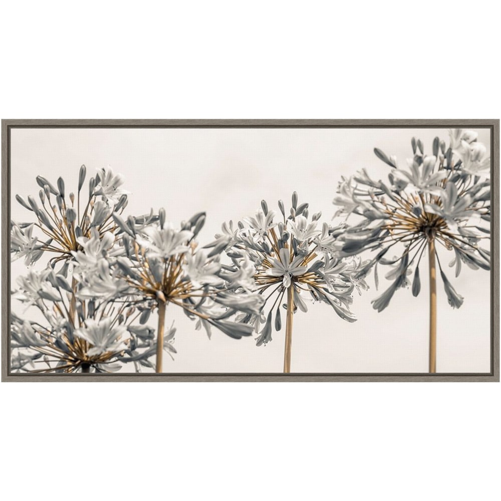 Amanti Art African Lily Flowers II by Assaf Frank Framed Canvas Wall Art Print, 14inH x 27inW, Graywash