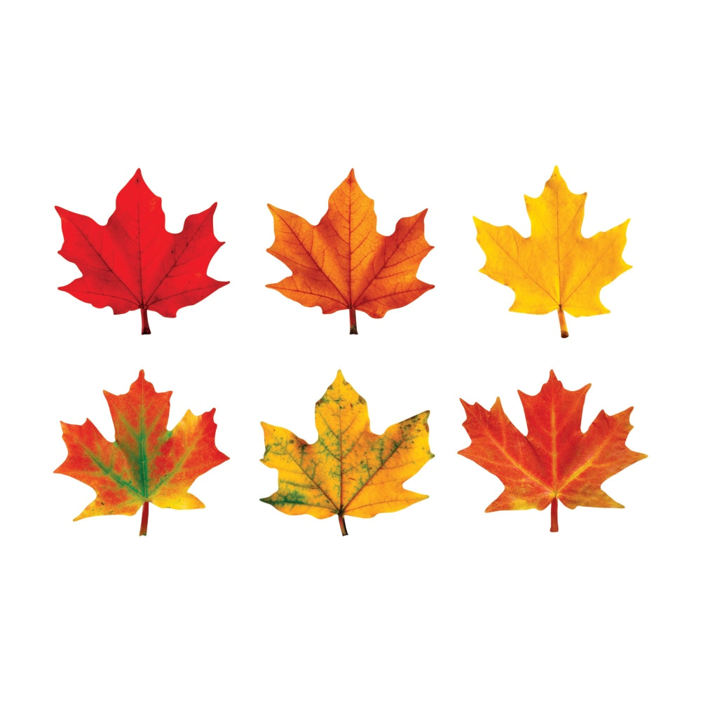 TREND Classic Accents, Maple Leaves, 36 Accents Per Pack, Set Of 3 Packs