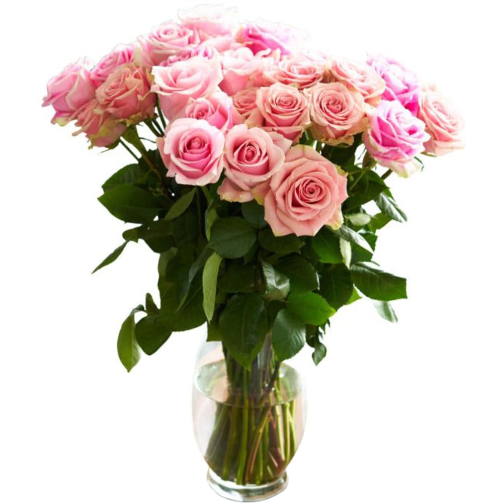 Rose Farmers Bi-Color Eyecatcher Long Stem Roses, Pink, Box Of 24 Roses