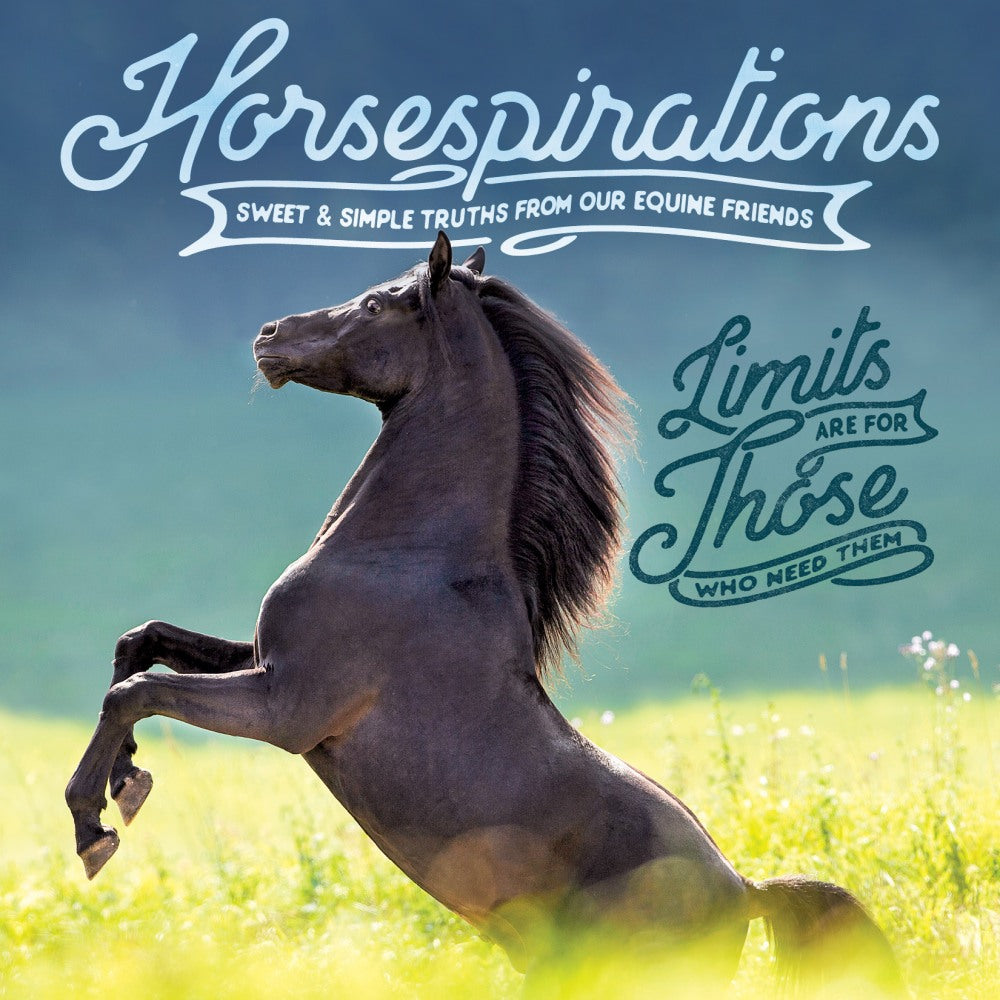 Willow Creek Press 5-1/2in x 5-1/2in Hardcover Gift Book, Horsespirations